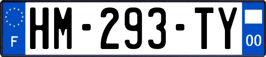 HM-293-TY