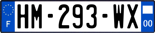 HM-293-WX