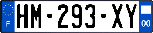 HM-293-XY