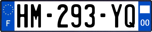 HM-293-YQ