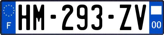 HM-293-ZV