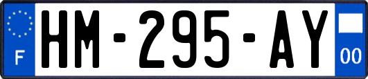 HM-295-AY