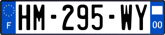 HM-295-WY