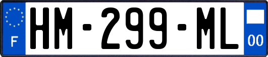 HM-299-ML
