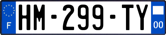 HM-299-TY