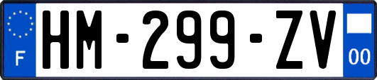 HM-299-ZV