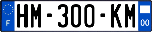 HM-300-KM