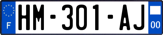 HM-301-AJ