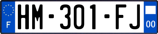 HM-301-FJ