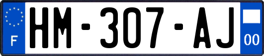 HM-307-AJ