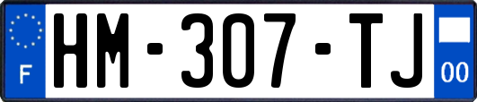 HM-307-TJ