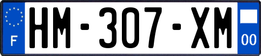 HM-307-XM
