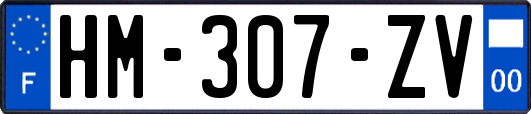 HM-307-ZV