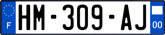 HM-309-AJ