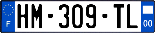 HM-309-TL