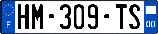 HM-309-TS