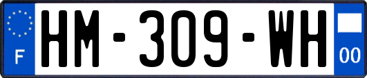HM-309-WH