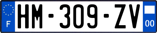 HM-309-ZV