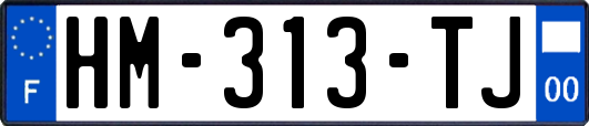 HM-313-TJ