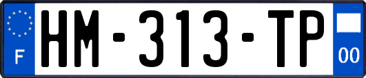 HM-313-TP