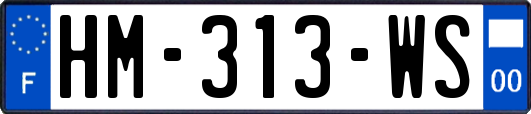 HM-313-WS