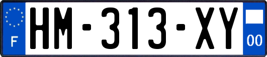 HM-313-XY