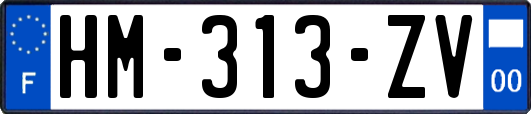 HM-313-ZV