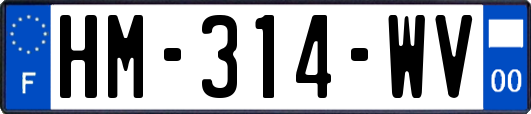 HM-314-WV