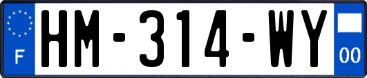 HM-314-WY