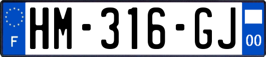 HM-316-GJ