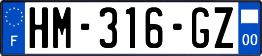 HM-316-GZ