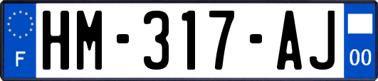 HM-317-AJ