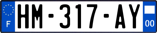 HM-317-AY