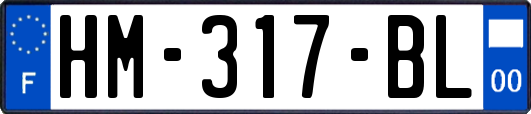 HM-317-BL