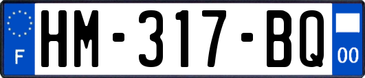 HM-317-BQ