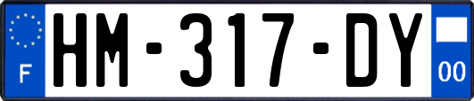 HM-317-DY