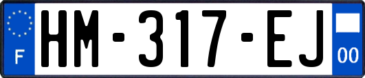 HM-317-EJ