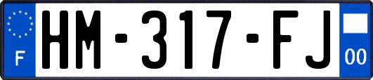 HM-317-FJ