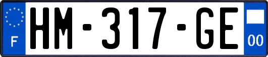 HM-317-GE