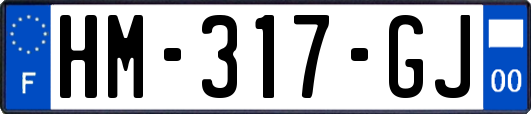 HM-317-GJ