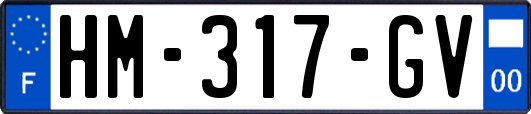 HM-317-GV