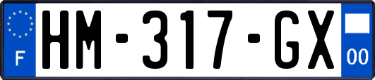 HM-317-GX