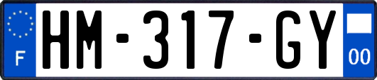 HM-317-GY