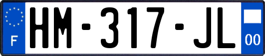 HM-317-JL