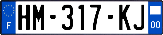 HM-317-KJ