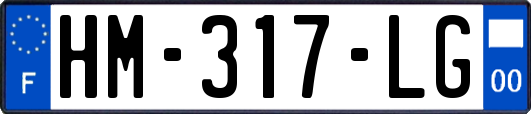 HM-317-LG