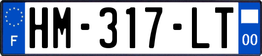 HM-317-LT