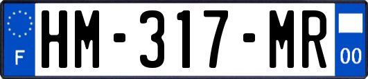 HM-317-MR