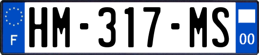 HM-317-MS