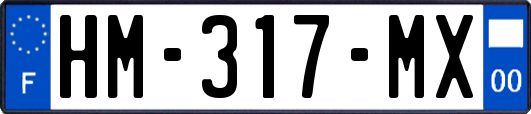 HM-317-MX